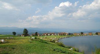 Golf: hierro y Madeira
