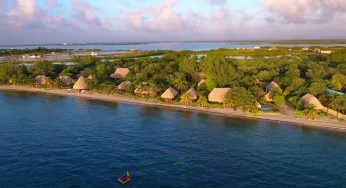 Eco-lodges, una forma de visitar y preservar tus rincones naturales favoritos