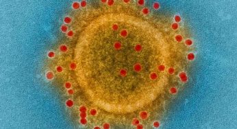 Serenidad frente al coronavirus