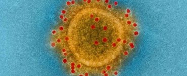 Coronavirus