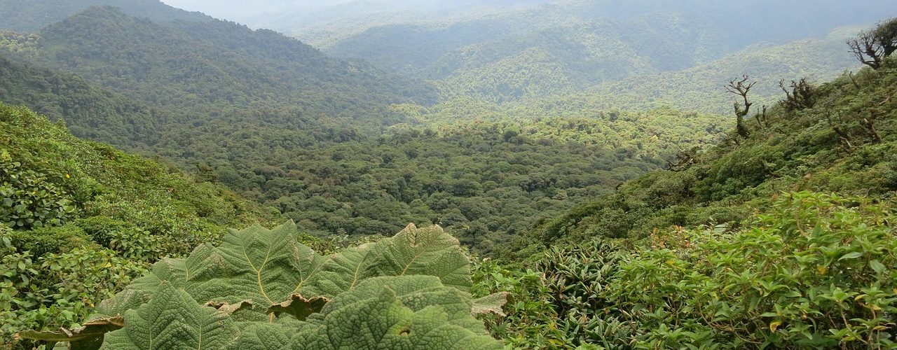 Costa Rica, referente del ecoturismo