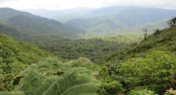 Costa Rica, referente del ecoturismo