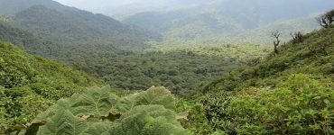 Costa Rica, referente del ecoturismo