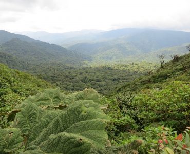 Costa Rica, referente del ecoturismo