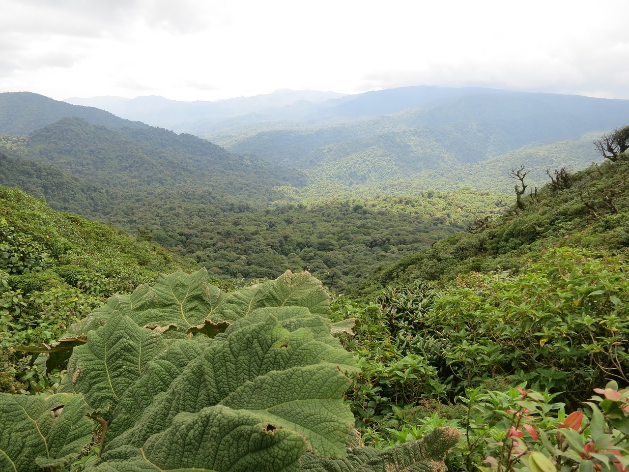 Costa Rica, referente del ecoturismo