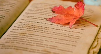 Cuatro libros que potenciarán tu creatividad