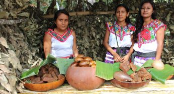 Conoce el México profundo con Rutopia