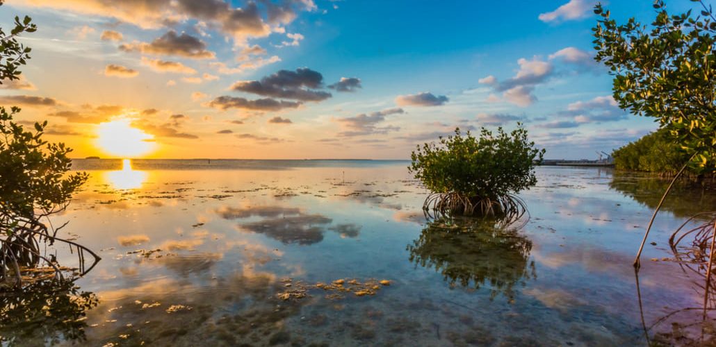 Cayos de Miami