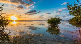 Los Cayos de Miami, un lugar de otro tiempo