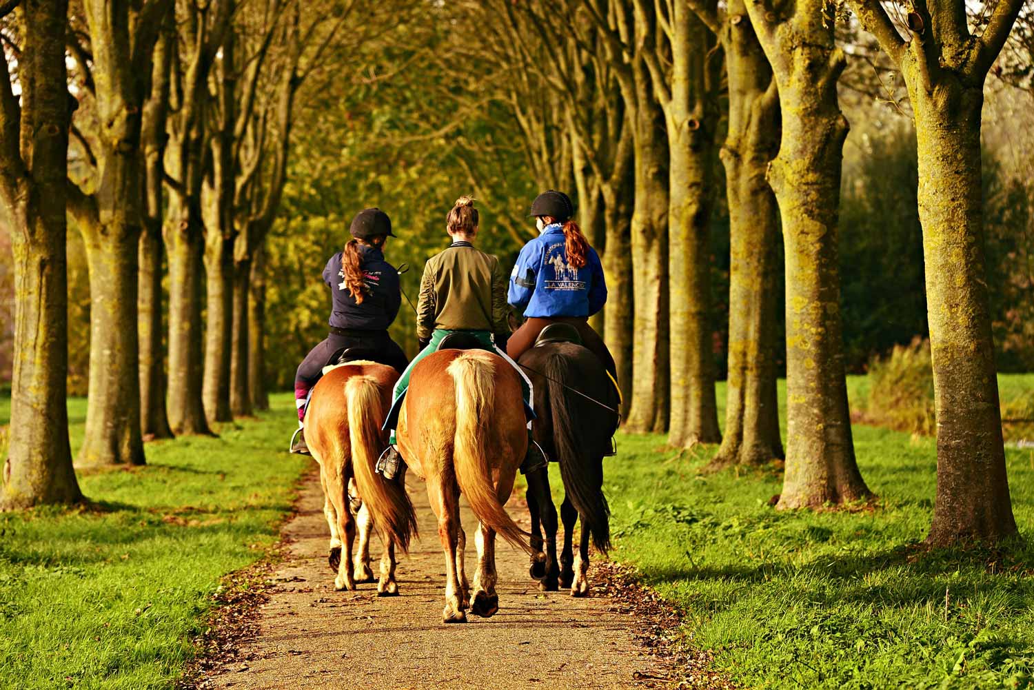 Mujeres montando a caballo. Imagen de Just killing time en Pixabay