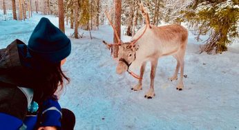 La visita salvaje e infantil al desierto nevado de Papá Noel